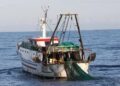 La Guardia Costiera di Olbia sequestra oltre 150 kg di gambero a peschereccio di Mazara del Vallo