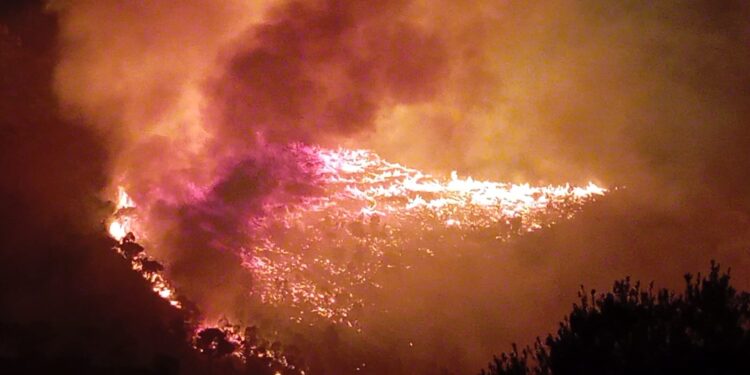 Incendi nel Trapanese, Ciminnisi (M5S): “Regione complice”