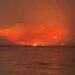 Incendi nel Trapanese, Safina (PD): “Il governo regionale in silenzio. E’ un crimine contro la Sicilia”
