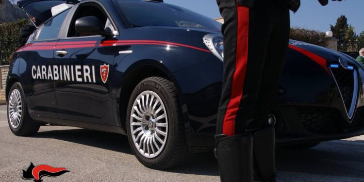 Carabinieri, intensificati i controlli. Denunce e sanzioni