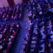 L’Associazione per l’Arte rinnova anche per il 2025 la collaborazione con la Cooperativa Piccolo Teatro di Alcamo