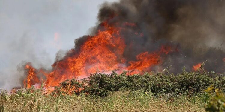 Incendio Montagna Grande: FLAI CGIL, FAI CISL e UILA UIL Trapani attaccano la Regione sulla prevenzione