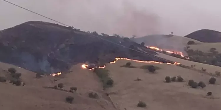 Sicilia nella morsa degli incendi: decine di roghi mettono sotto pressione i soccorsi