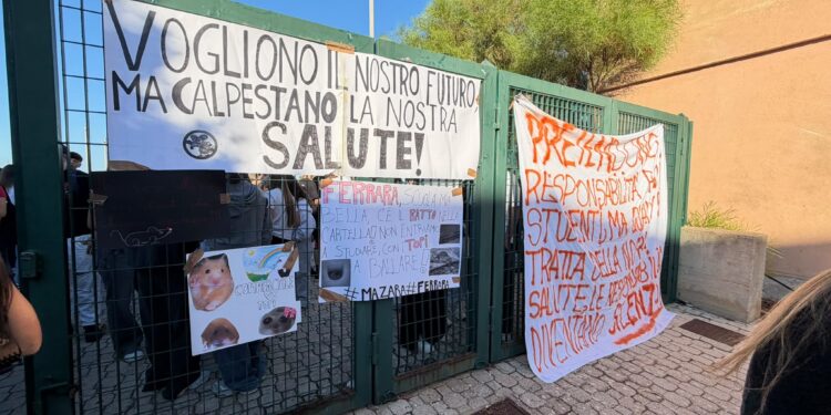 Mazara, al Ferrara studenti in sciopero da tre giorni per presenza di topi: la scuola replica