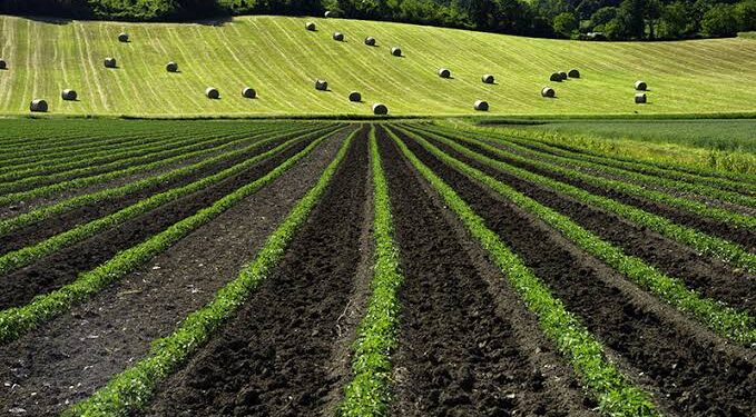 Agricoltura. Santo Primavera (Mpa) presenta emendamento alle variazioni di bilancio per finanziare la Sottomisura 4.1 e dare risposte alle imprese