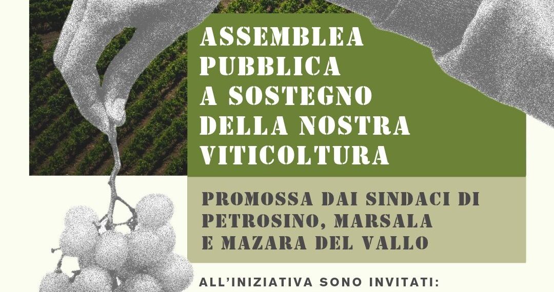 Viticoltura trapanese, appello congiunto dei sindaci: «Risorse straordinarie e risposte concrete per salvare il futuro del comparto»