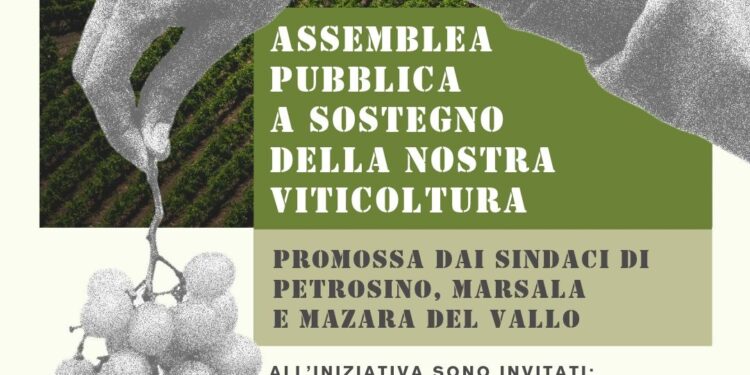 Viticoltura trapanese, appello congiunto dei sindaci: «Risorse straordinarie e risposte concrete per salvare il futuro del comparto»
